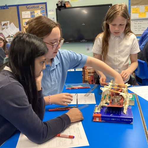 DT: Spaghetti Truss Bridges