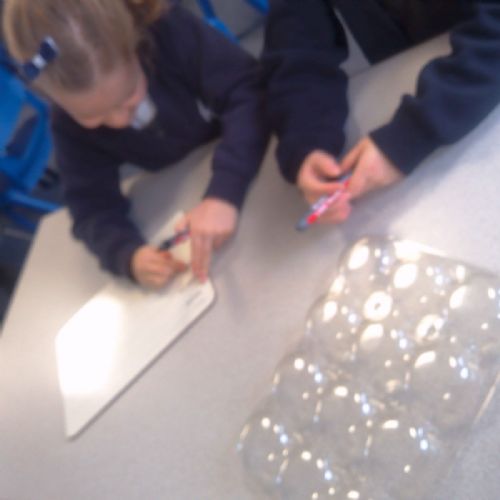 Investigating arrays in maths