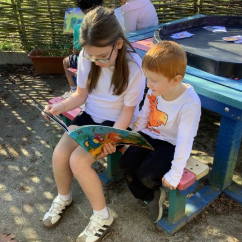 Butterfly and Otter Class Paired Reading