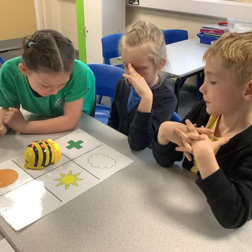 Week 5 - Giving directions and using positional language using Bee Bots