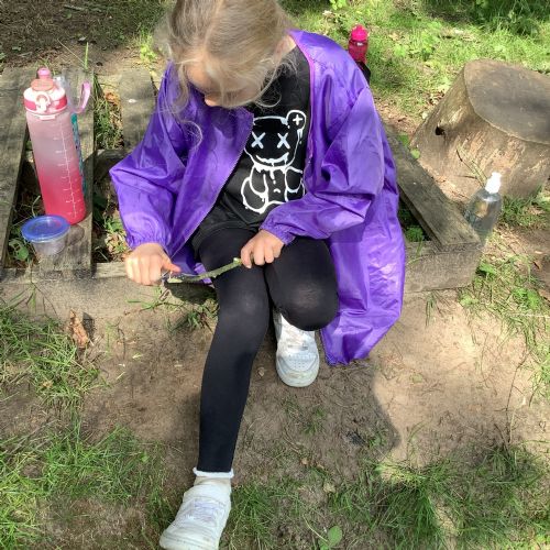 Week 5 - 16.06.26
